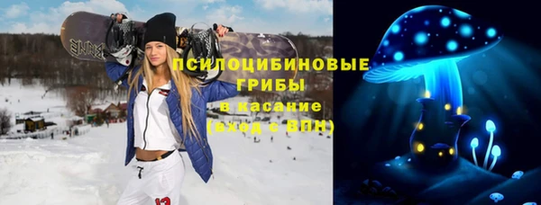 МДПВ Абдулино