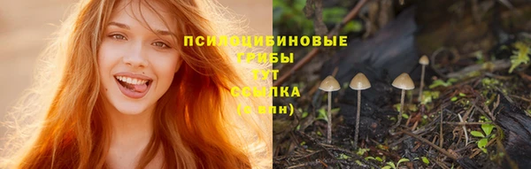 кокаин Алексеевка